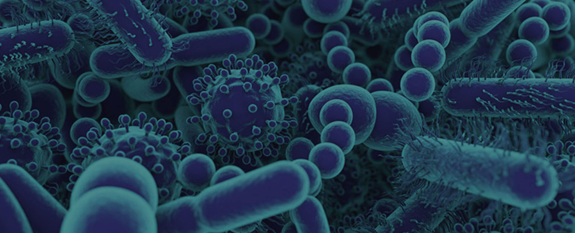 The vaginal microbiome as headquarter of a woman’s wellbeing