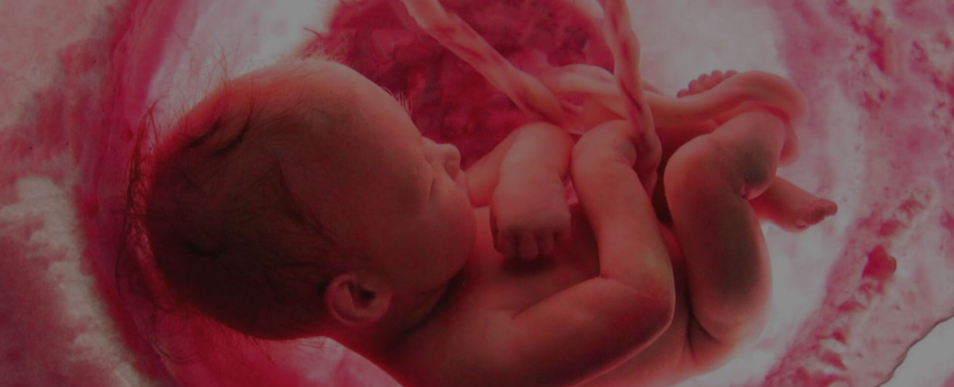 Why umbilical cord blood banking is important?