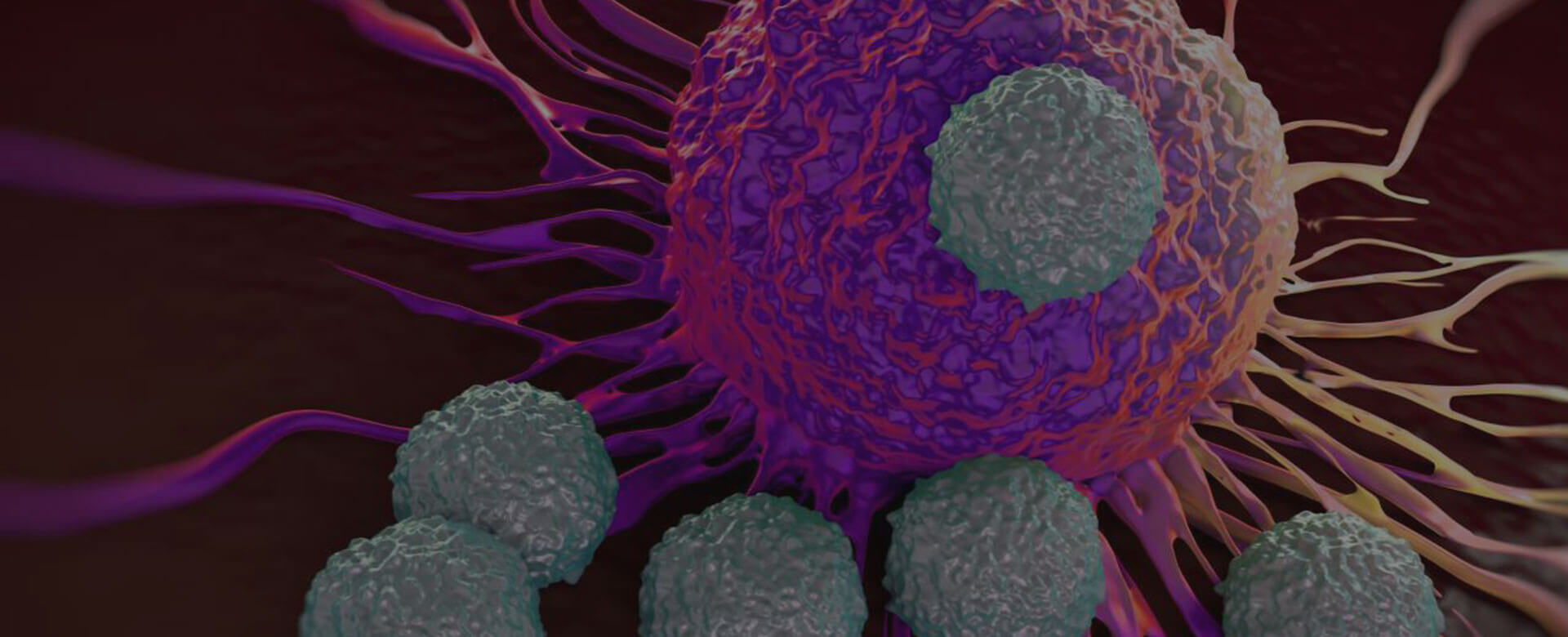 Le cellule NK del cordone ombelicale: nuova frontiera nelle terapie antitumorali