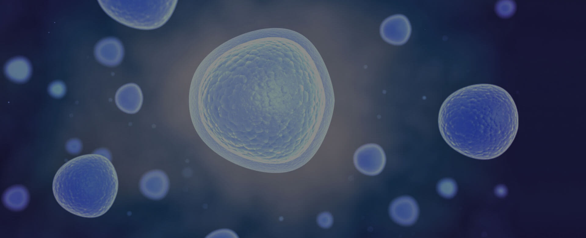 Chronic inflammation: what is and how to monitor it
