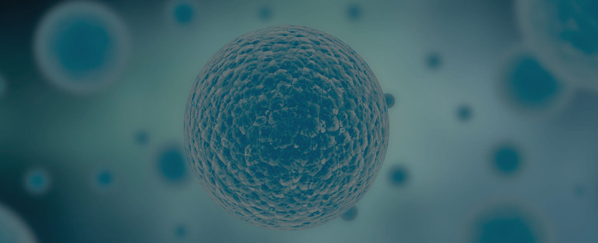 USA, umbilical cord blood stem cells used to treat cerebral palsy