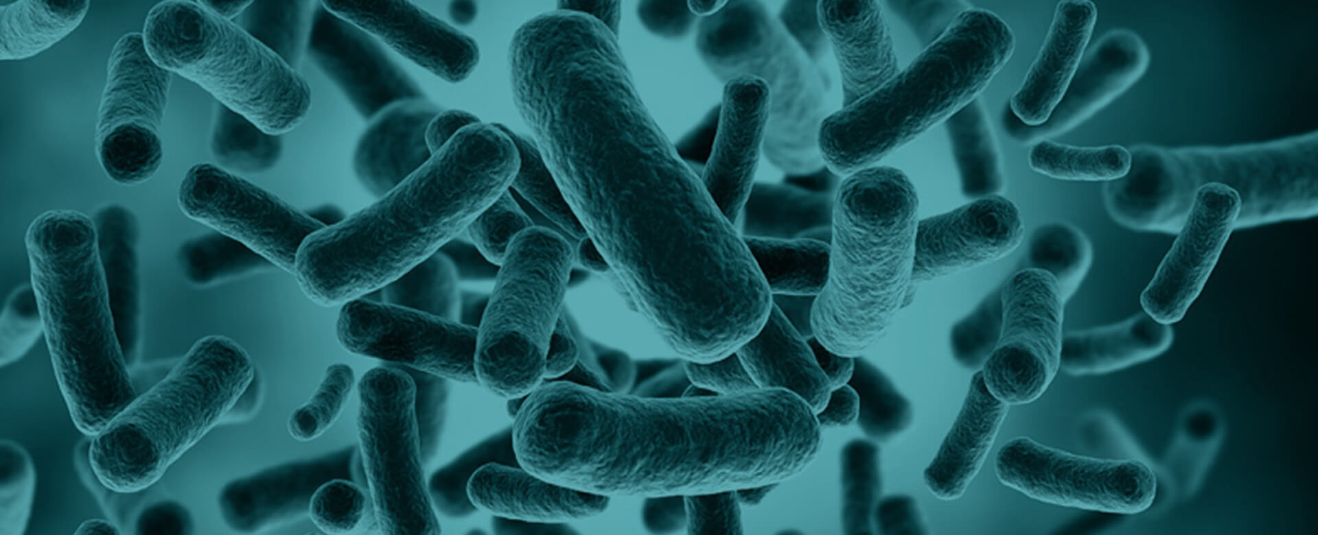 Analisi del microbioma, una nuova arma contro l’invecchiamento