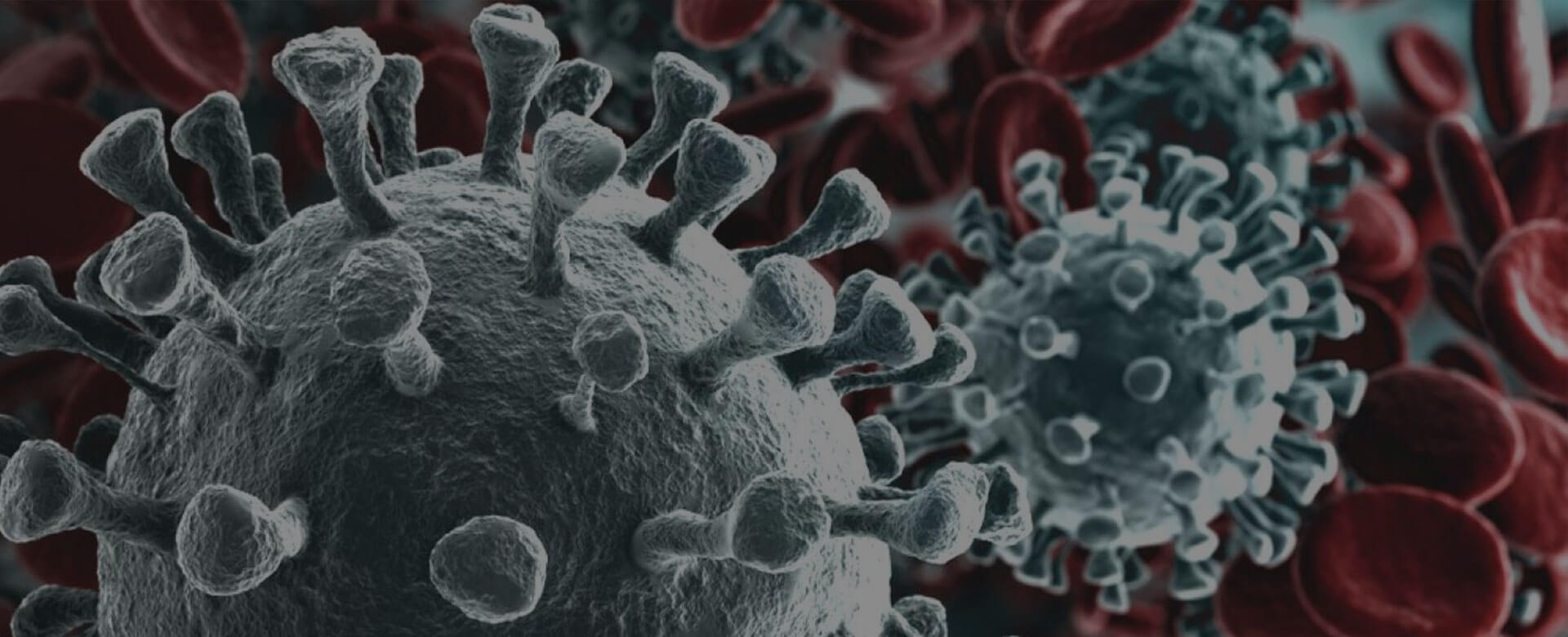 Covid-19, mesenchymal stem cells effective against Sars-CoV-2