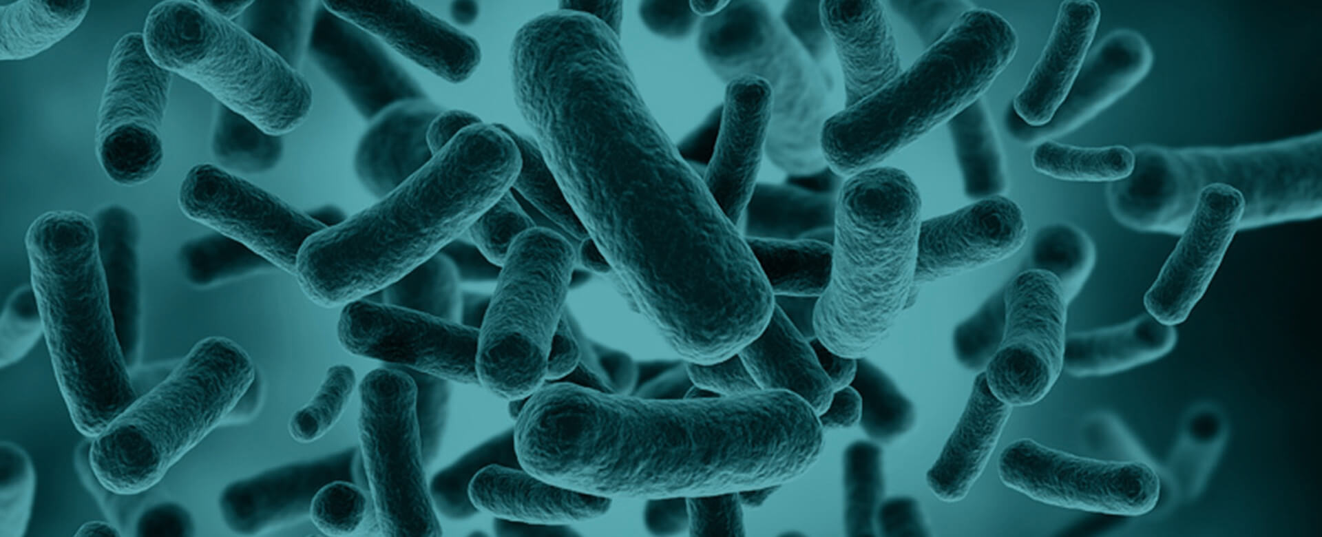 Microbiome analysis, a new tool against age-related diseases