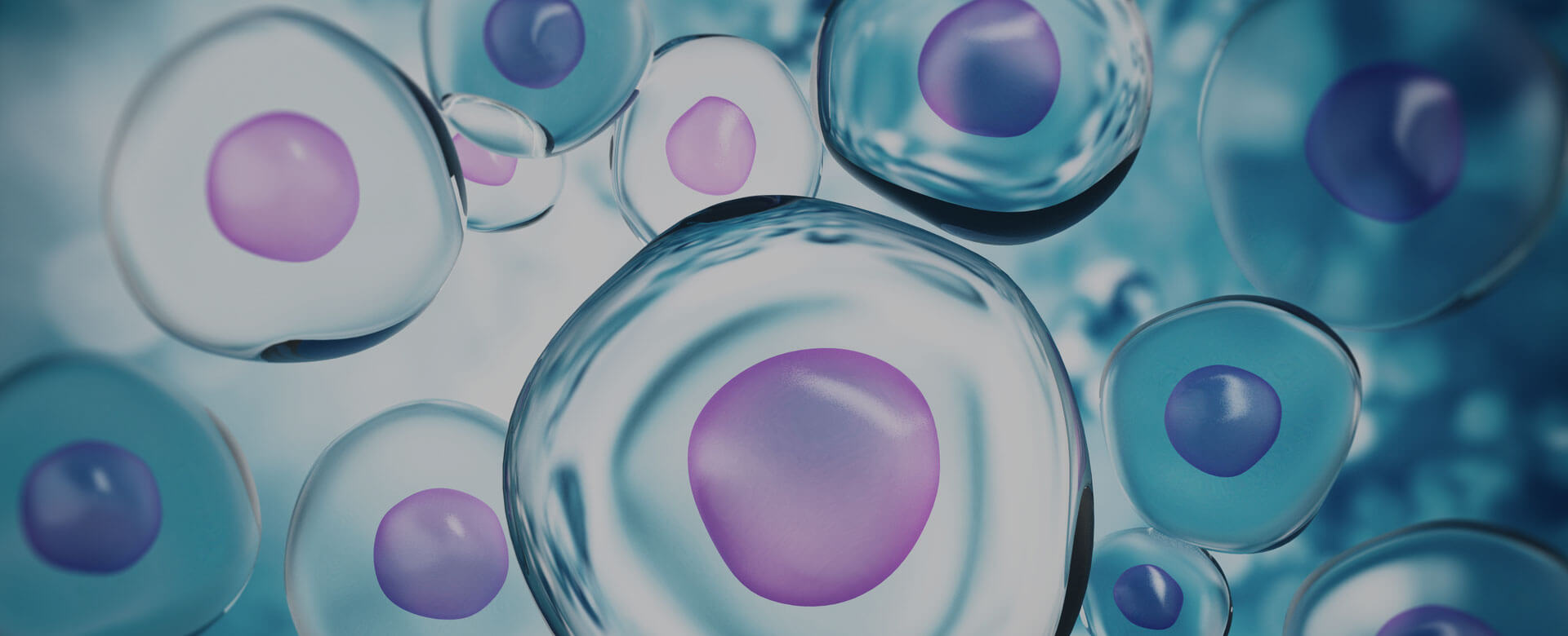 COVID-19, Stem cells among most promising treatments