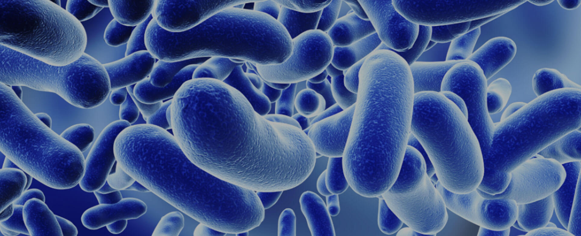 Toward a healthy immune system: the role of the microbiome