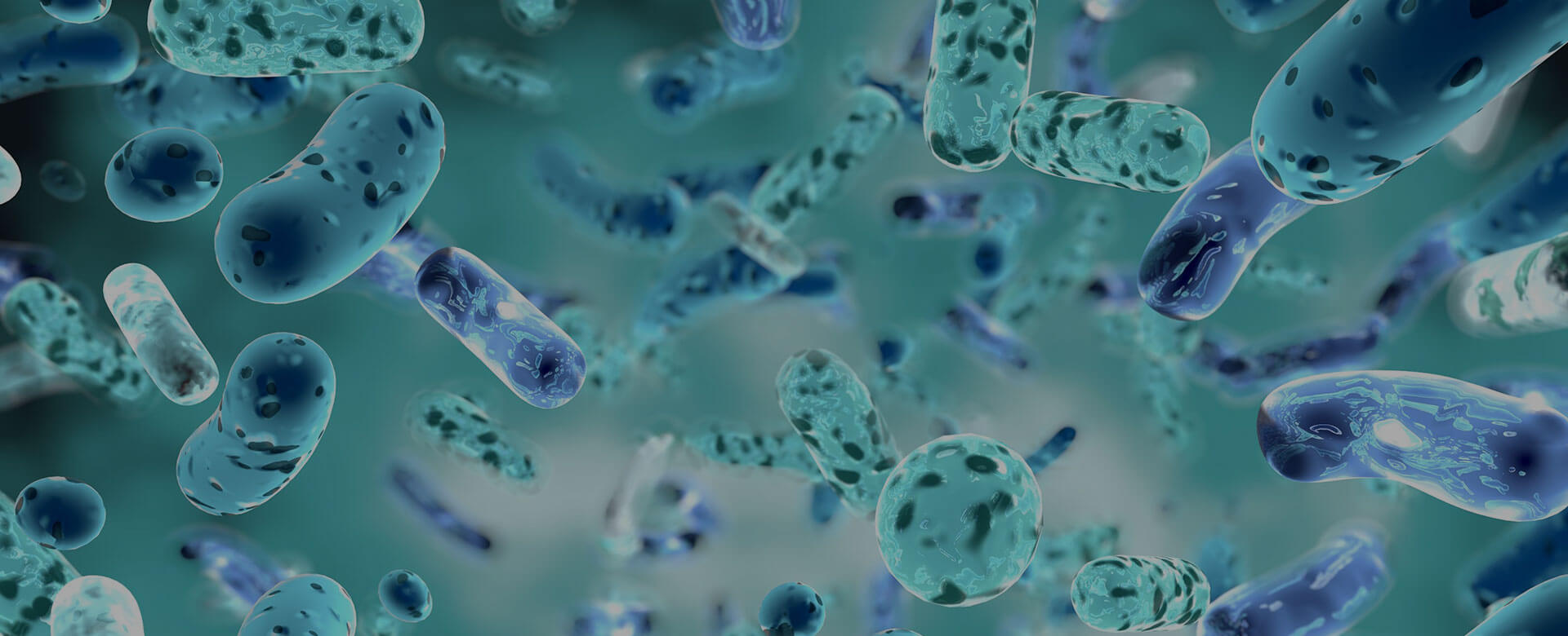 Colorectal cancer: here is the link between genes, microbiome, inflammation and immunity