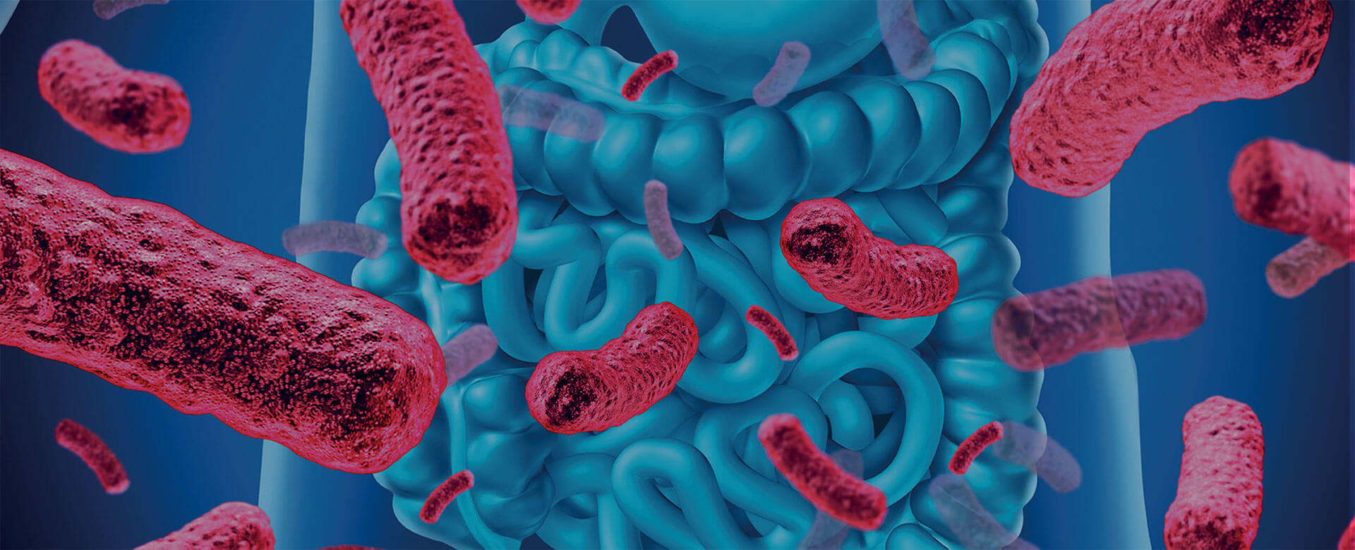 Il microbioma nella medicina di oggi ed in quella di domani