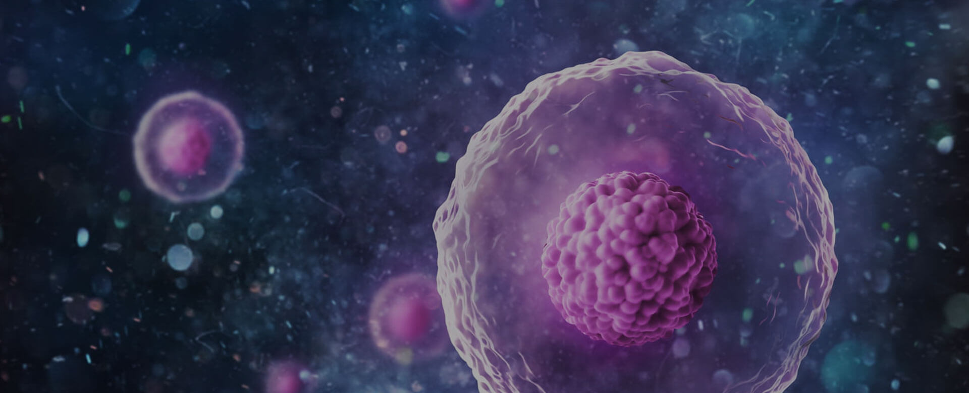 UK, 10-year cryopreserved eggs storage limit abolished