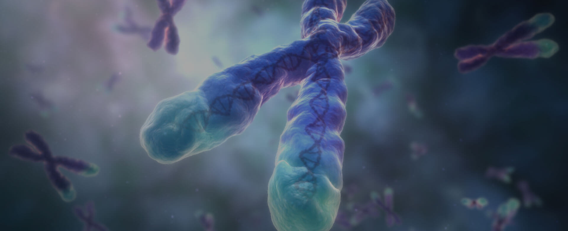 Covid-19, susceptibility to Sars-CoV-2 linked to telomere shortening