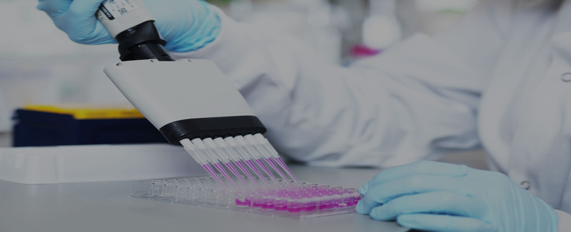 Cancer driver interception: here is where real prevention starts