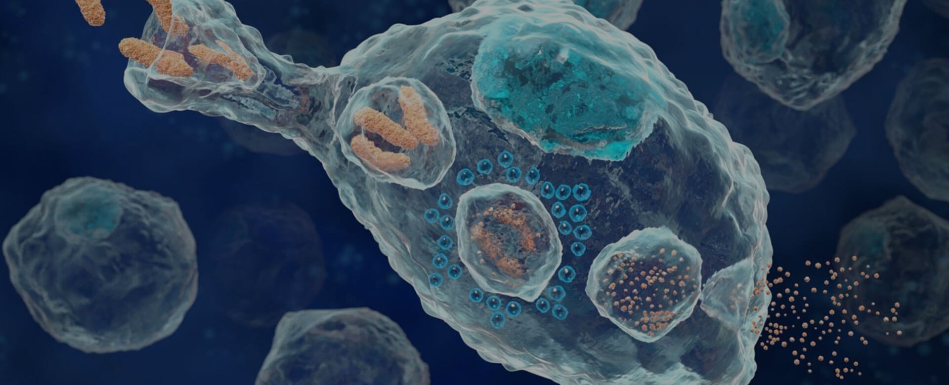 Cancer driver interception: what role for inflammation?