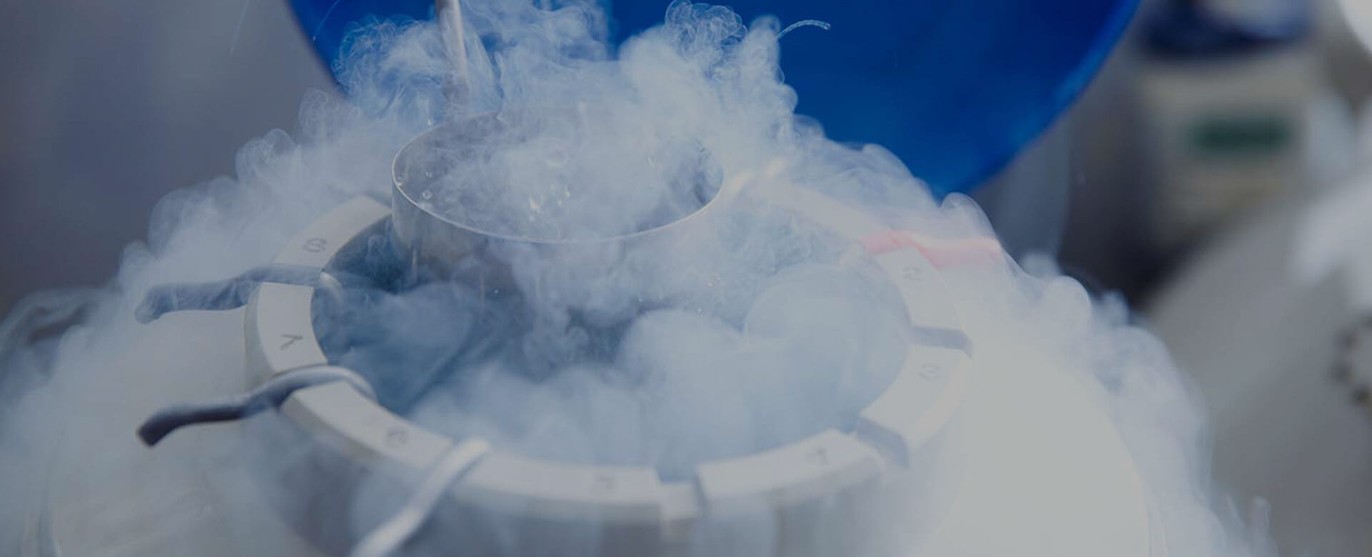 New cryopreservation record: biological material can be frozen for up to 30 years
