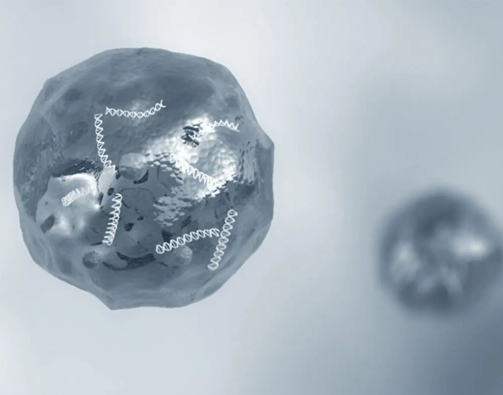 MSC-derived exosomes